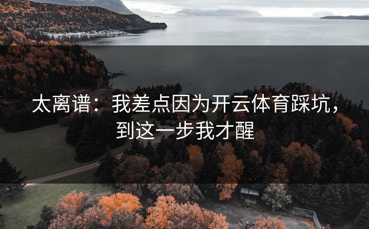 太离谱：我差点因为开云体育踩坑，到这一步我才醒