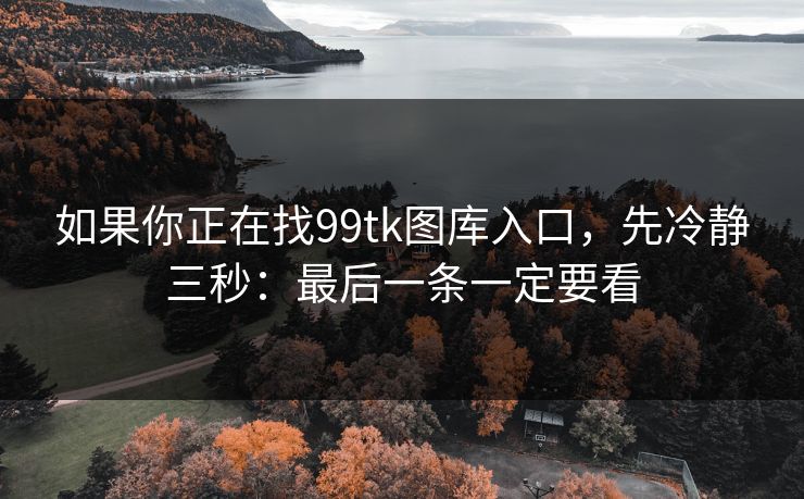 如果你正在找99tk图库入口，先冷静三秒：最后一条一定要看