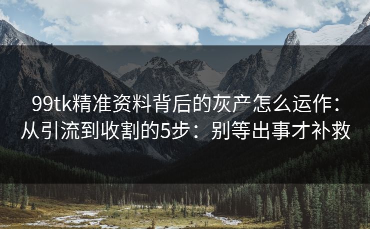 99tk精准资料背后的灰产怎么运作：从引流到收割的5步：别等出事才补救